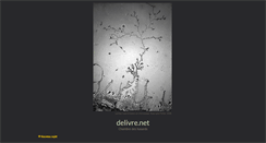 Desktop Screenshot of delivre.net